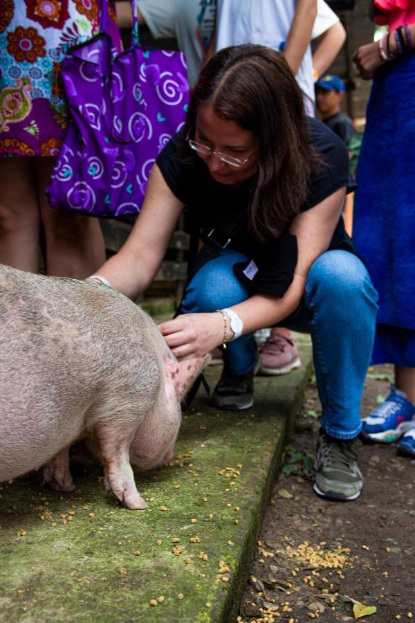 Familiar En Ecoparquechinauta, Piscina, Granja, Juegos, Pesca, Restaurante Villa